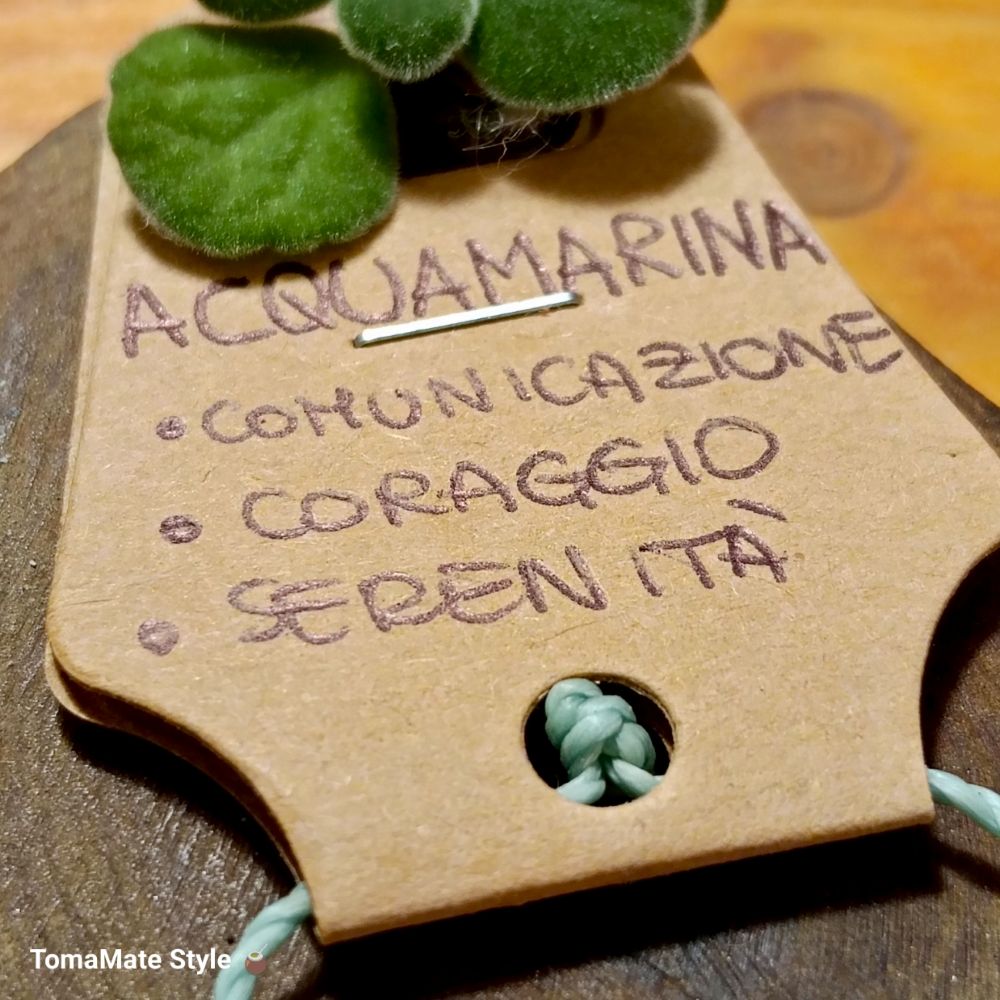 Su Coccu Acqua Marina - immagine 3