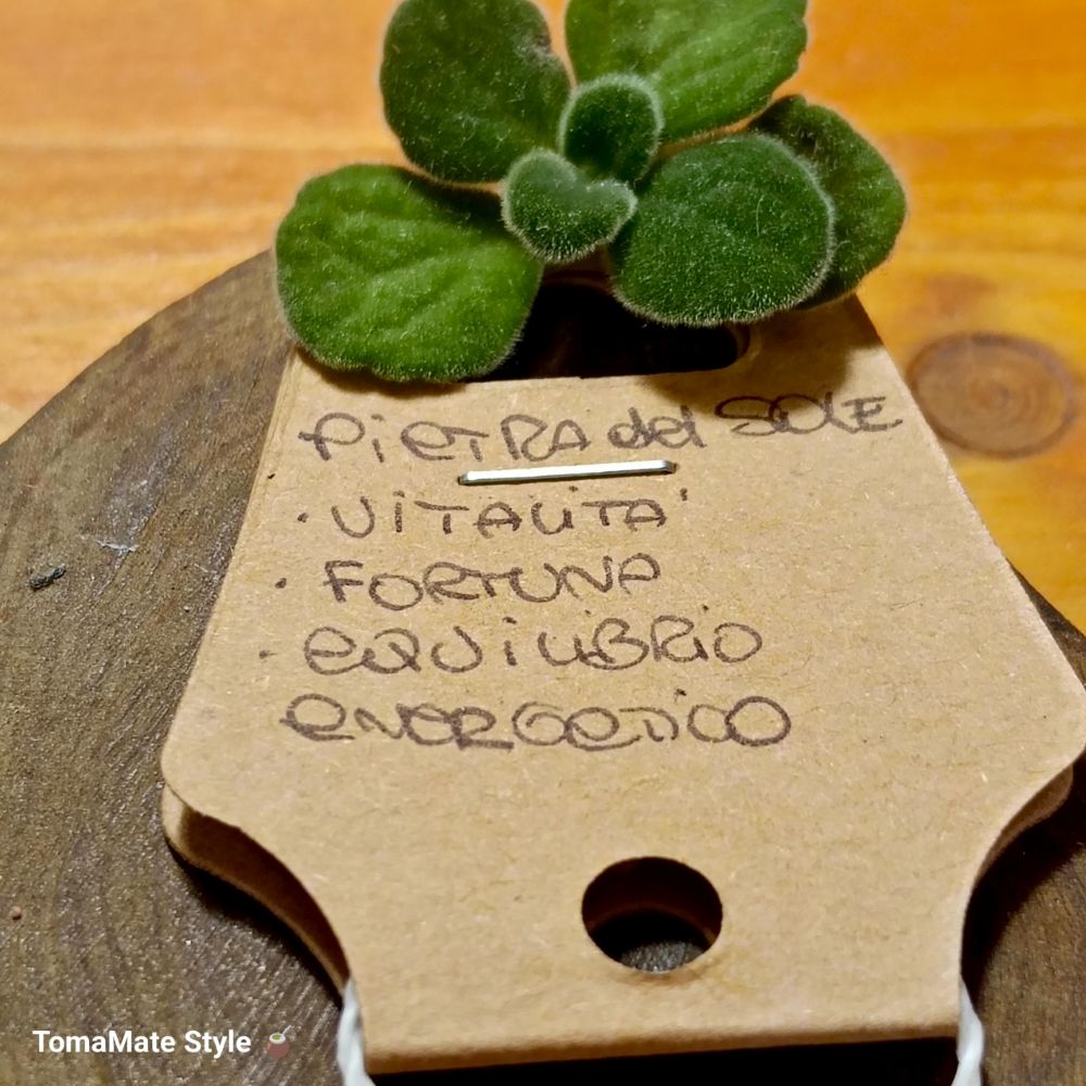 Su Coccu Pietra del Sole - immagine 3